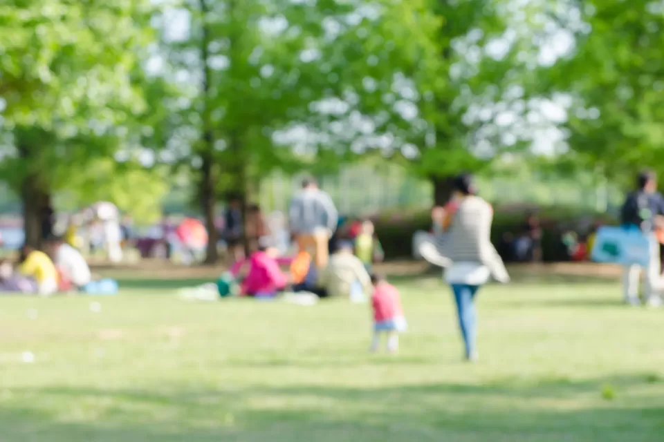 Blurred image of people hanging out on green lawn in a park with green trees in background